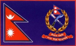 हेटौंडाको बुद्धचोकबाट टिपरसहित तीन क्वीन्टल गाँजा बरामद
